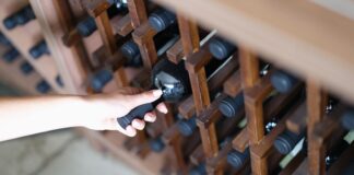 wino wegańskie