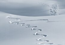 Co na wyciszenie i sen? Co na wyciszenie i sen?