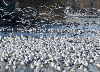W jakim wieku najlepiej założyć stały aparat na zęby?