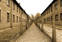 Co robiono z ludzi w Auschwitz? Co robiono z ludzi w Auschwitz?