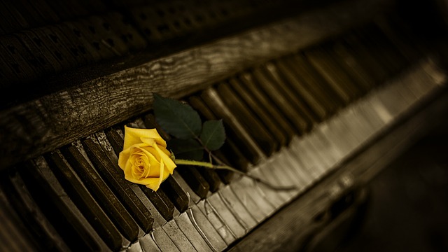 Jaki organ pracuje o 4 rano? Jaki organ pracuje o 4 rano?